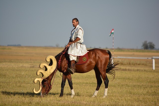 magyar lovas szarvas